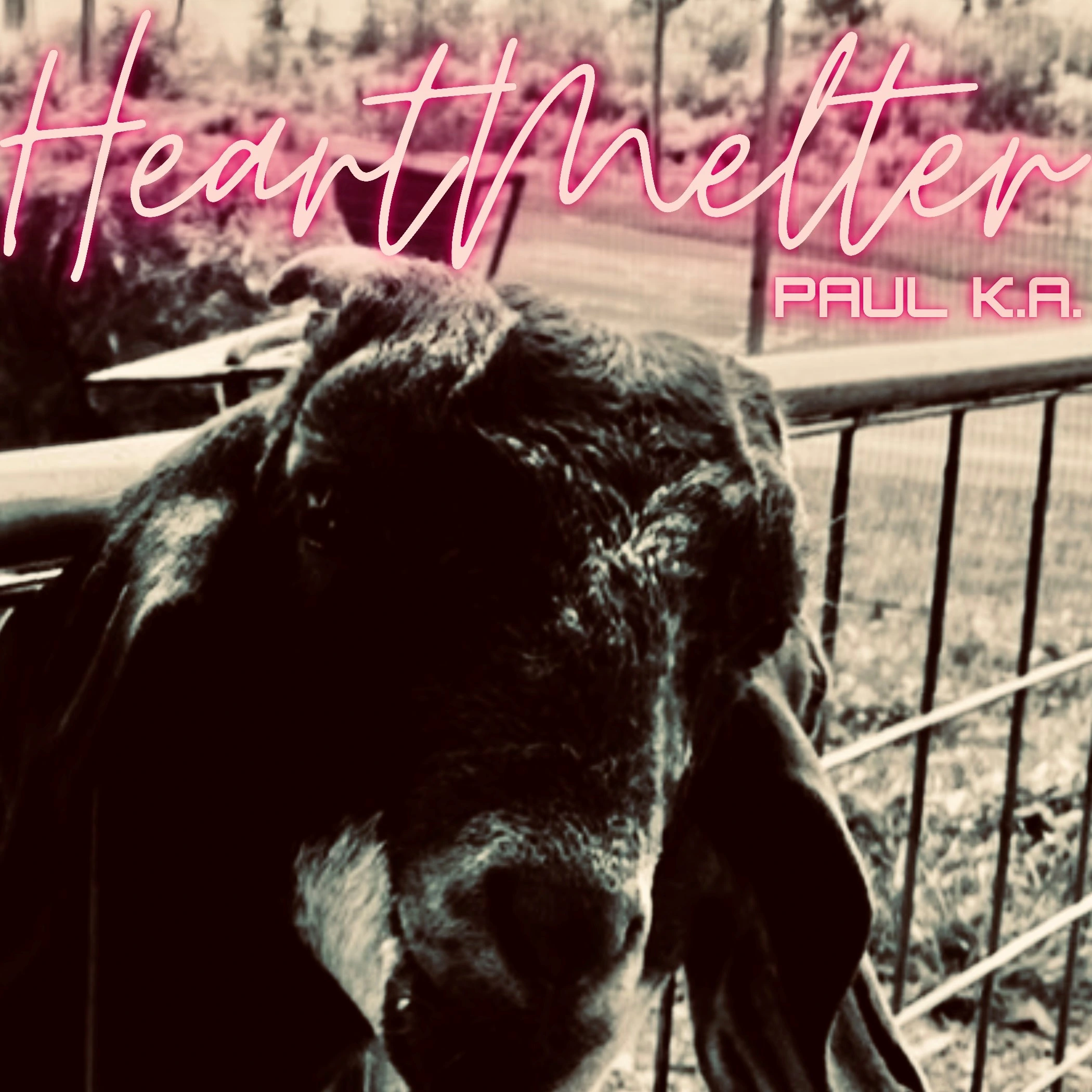 HeartMelter album art
